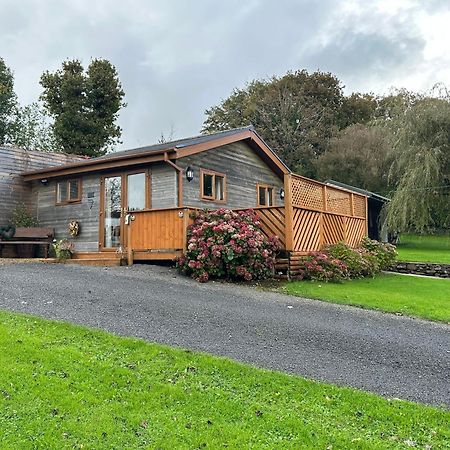 Swansea Log Cabin Pontardawe المظهر الخارجي الصورة
