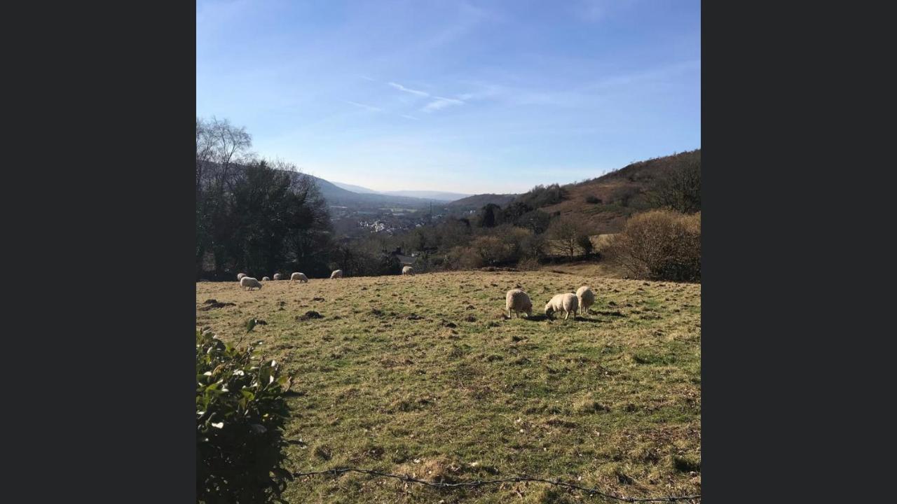 Swansea Log Cabin Pontardawe المظهر الخارجي الصورة