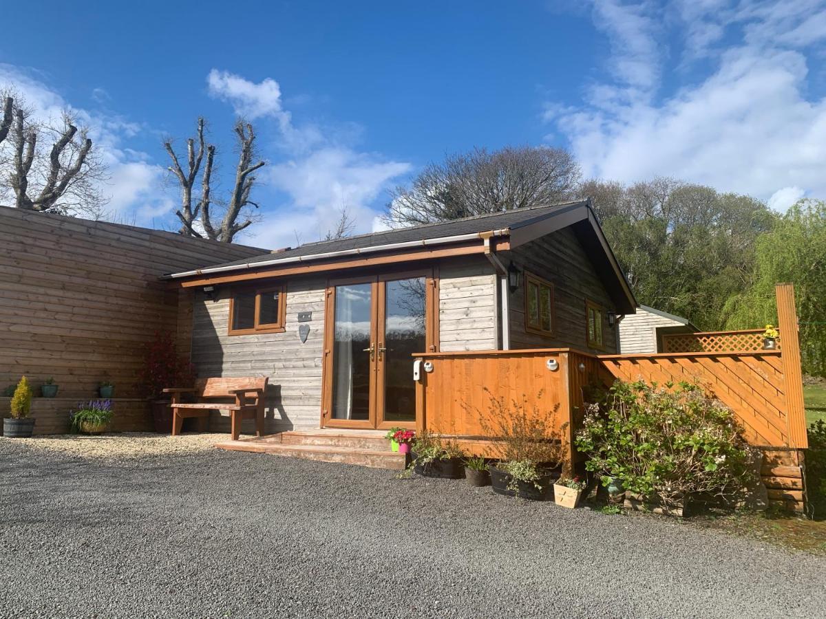 Swansea Log Cabin Pontardawe المظهر الخارجي الصورة