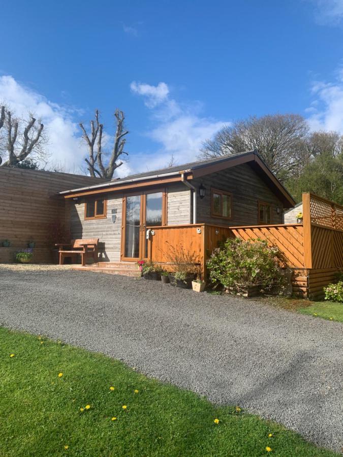 Swansea Log Cabin Pontardawe المظهر الخارجي الصورة