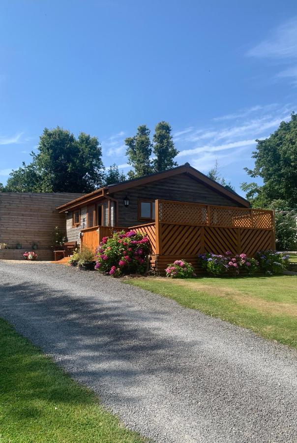 Swansea Log Cabin Pontardawe المظهر الخارجي الصورة