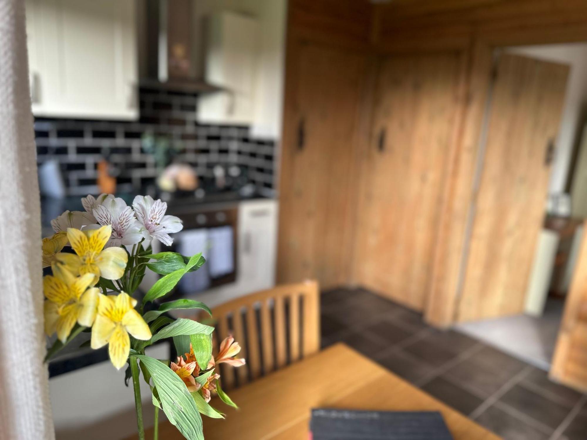 Swansea Log Cabin Pontardawe المظهر الخارجي الصورة