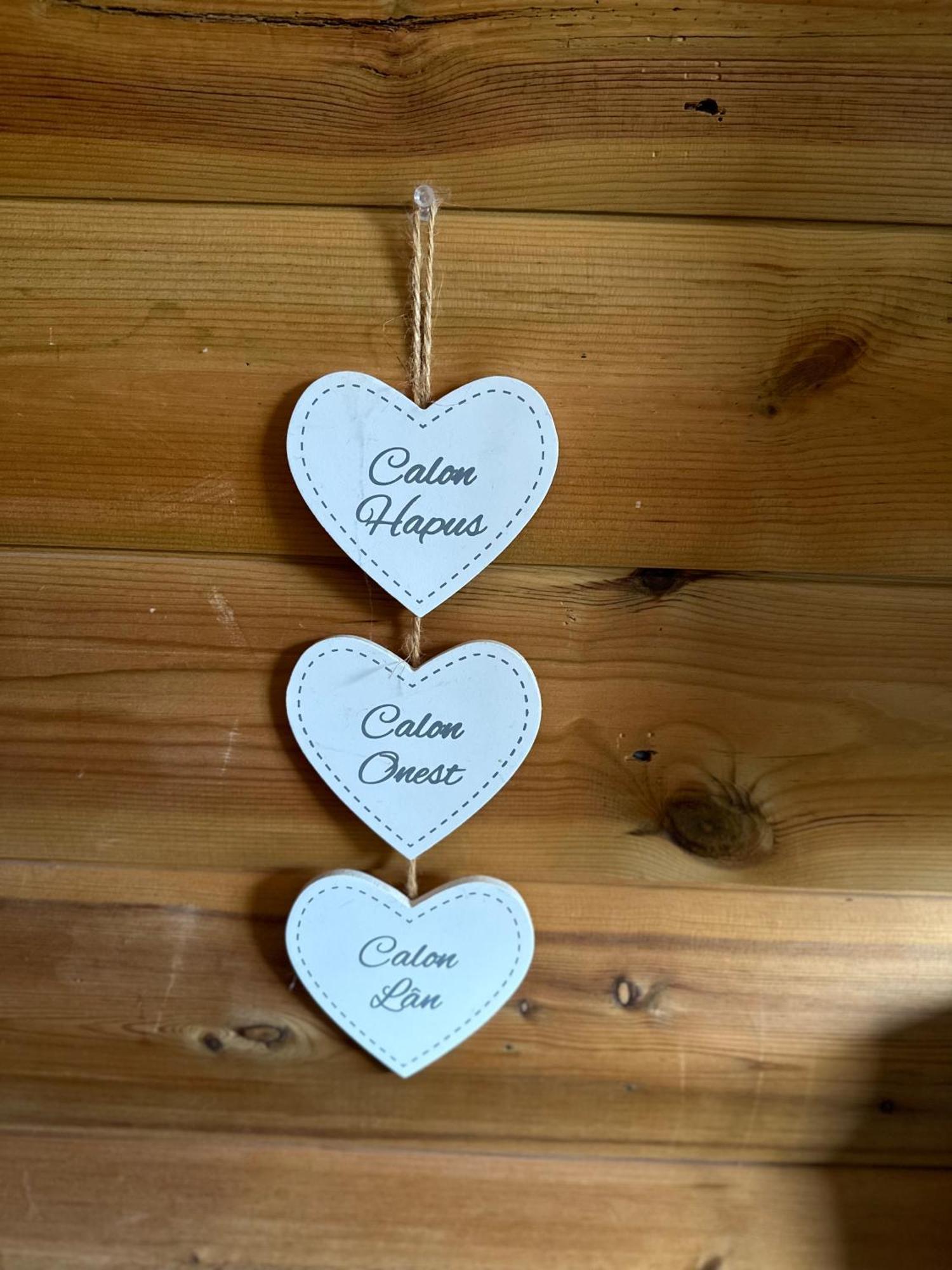 Swansea Log Cabin Pontardawe المظهر الخارجي الصورة