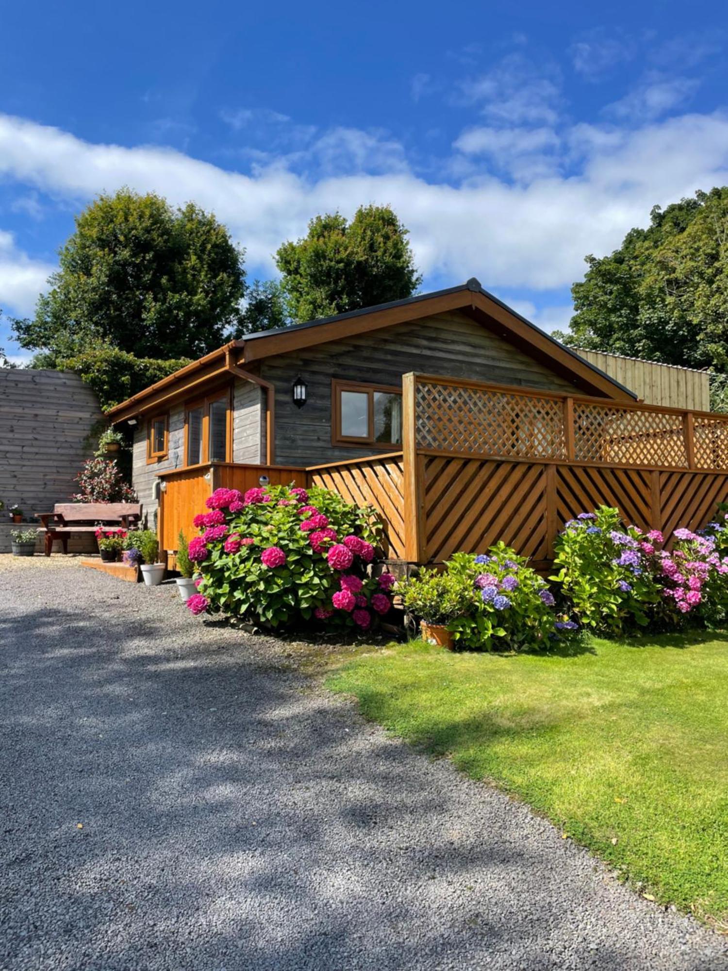 Swansea Log Cabin Pontardawe المظهر الخارجي الصورة