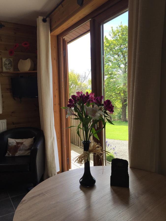 Swansea Log Cabin Pontardawe المظهر الخارجي الصورة