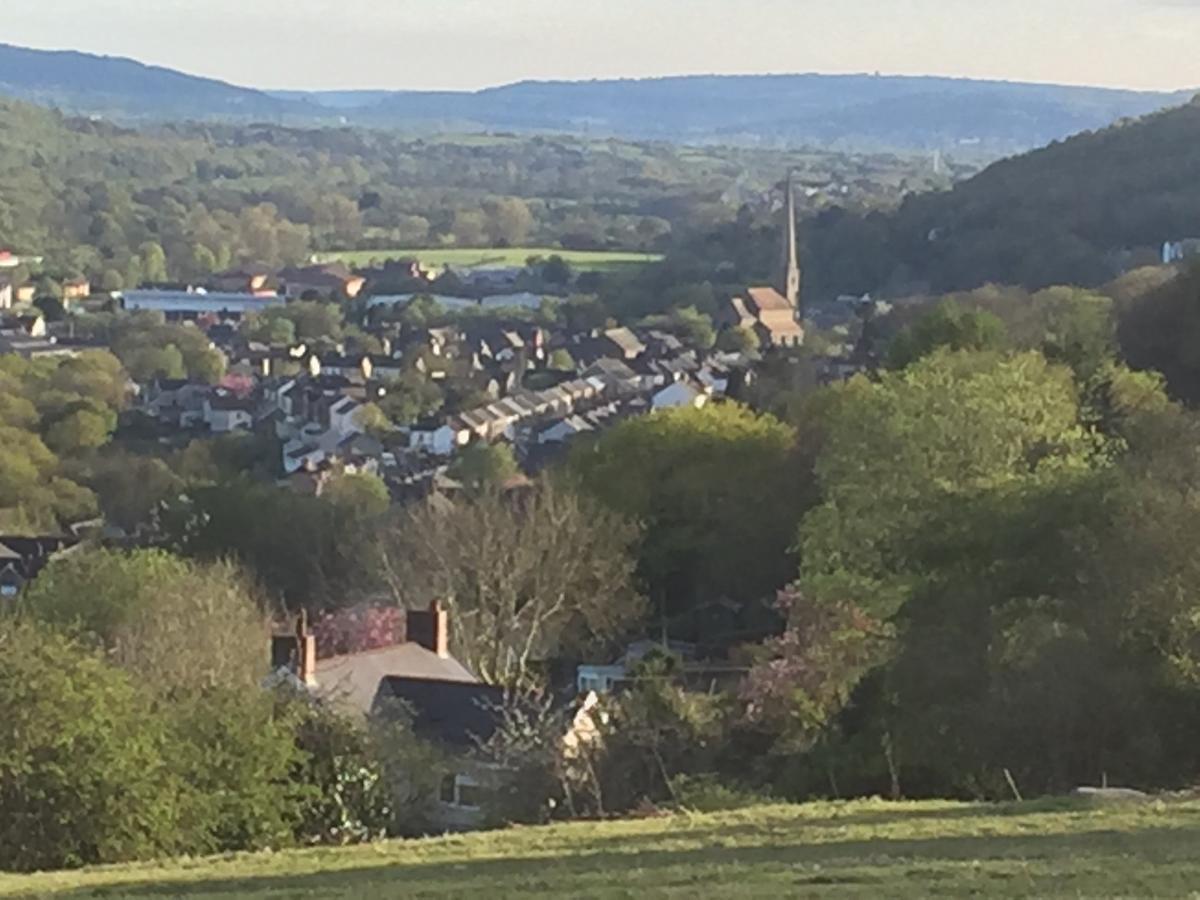 Swansea Log Cabin Pontardawe المظهر الخارجي الصورة
