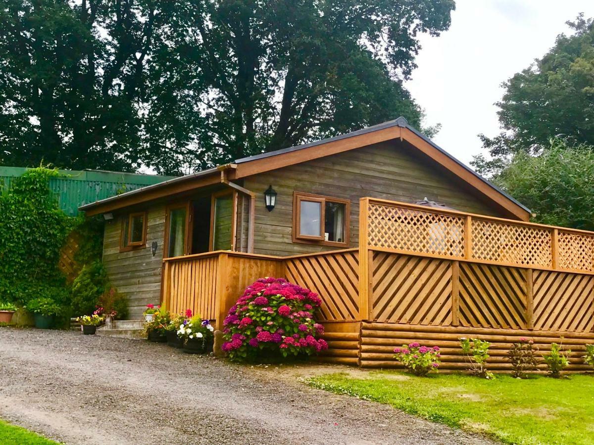 Swansea Log Cabin Pontardawe المظهر الخارجي الصورة